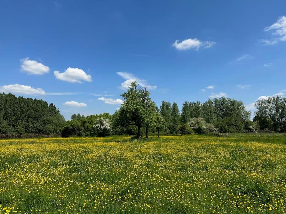 Vakantiewoning Hoogveld Apartment *