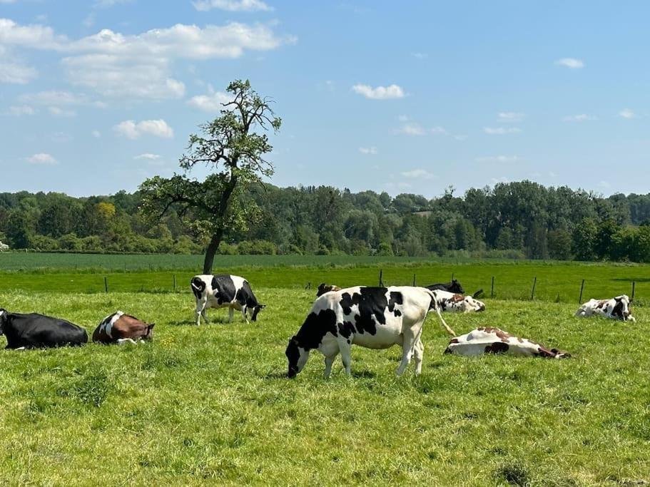Vakantiewoning Hoogveld