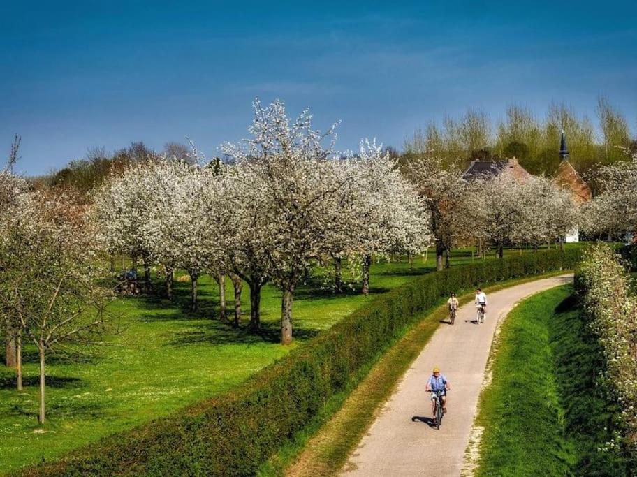 Apartment Vakantiewoning Hoogveld Kortessem